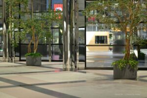 NIKKOR 85mm F1.2 Sのレンズを試し撮り