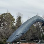 【スナップ写真】クジラが陸地にいたら!?