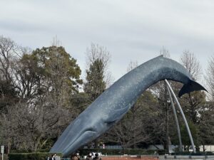 【スナップ写真】クジラが陸地にいたら!?