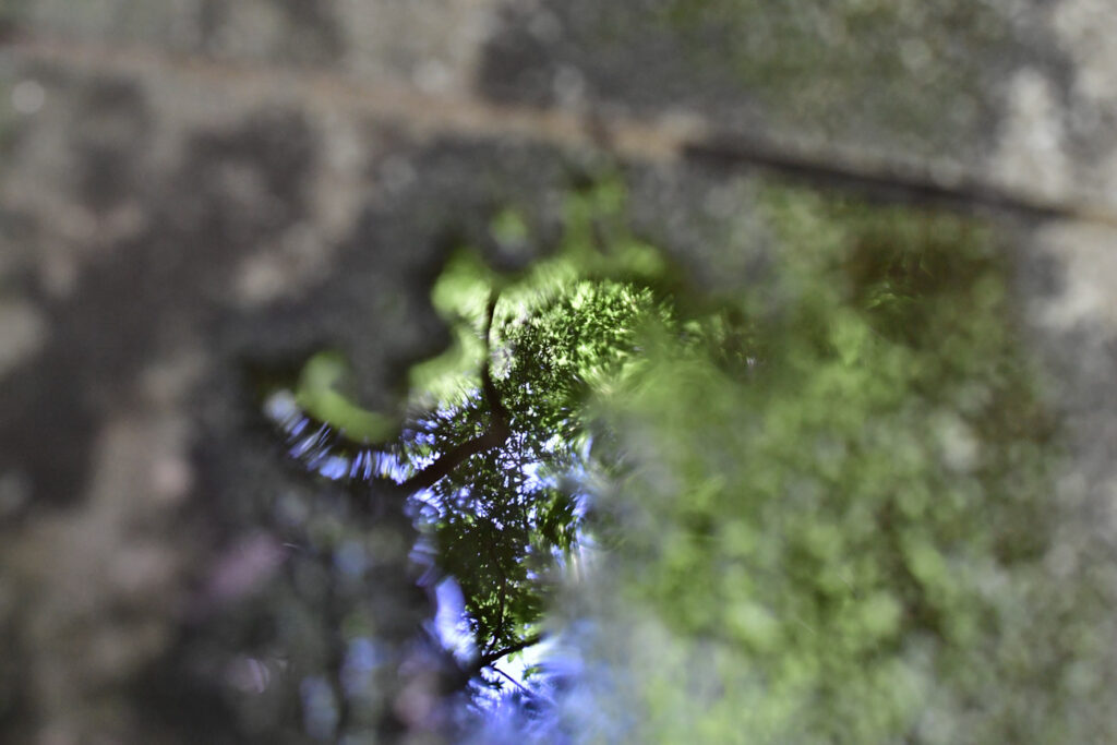 【スナップ撮影】久しぶりのスナップ撮影に出かけよう！！