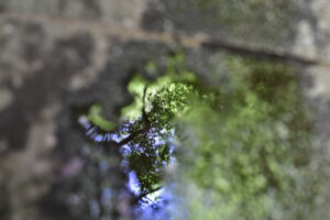 【スナップ撮影】久しぶりのスナップ撮影に出かけよう！！