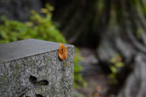 【スナップ撮影】くっついちゃった！？