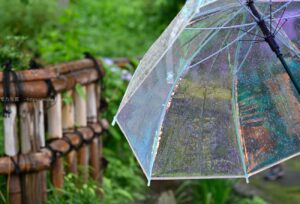【スナップ撮影】梅雨・・・雨を楽しんじゃおう。