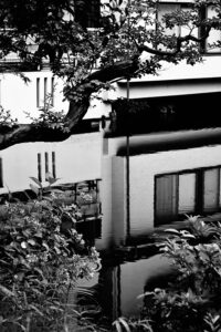 【スナップ撮影】雨上がり・・リフレクションを狙って