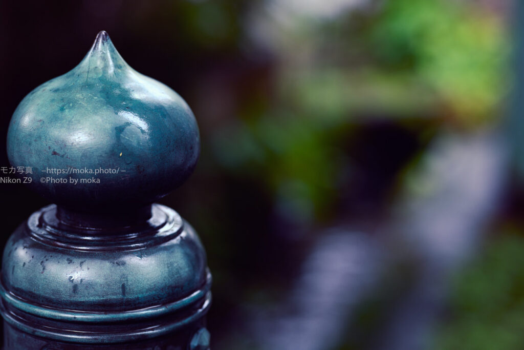 【スナップ撮影】雨の日のスナップ撮影を楽しもう！