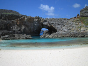 思い切って・・・南国へ行こう！！