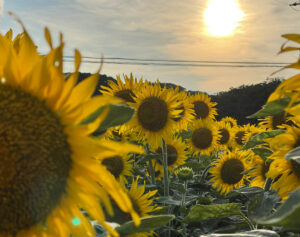 【スナップ撮影】もう直ぐ夏休み！！