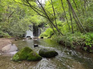 【ロケハン】涼しさ異次元の渓流撮影！！