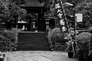 【スナップ撮影】暑さを忘れて・・モノクロ仕上げ