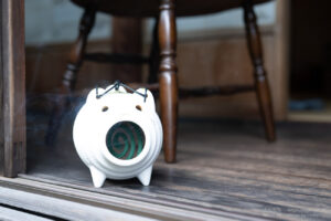 【スナップ撮影】日本の夏、キンチョウの夏！？