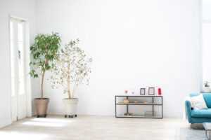 【ロケハン】このスタジオ、スタジオ内を撮るだけで楽しい!?