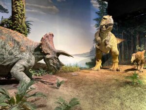 【スナップ撮影】夏休み最後は恐竜観察!?