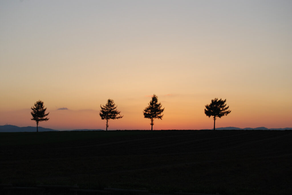 【スナップ撮影】沈む夕日、浮かぶシルエット