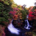 【スナップ撮影】秋が待ち遠しい・・