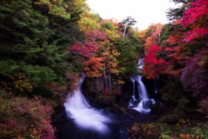 【スナップ撮影】秋が待ち遠しい・・