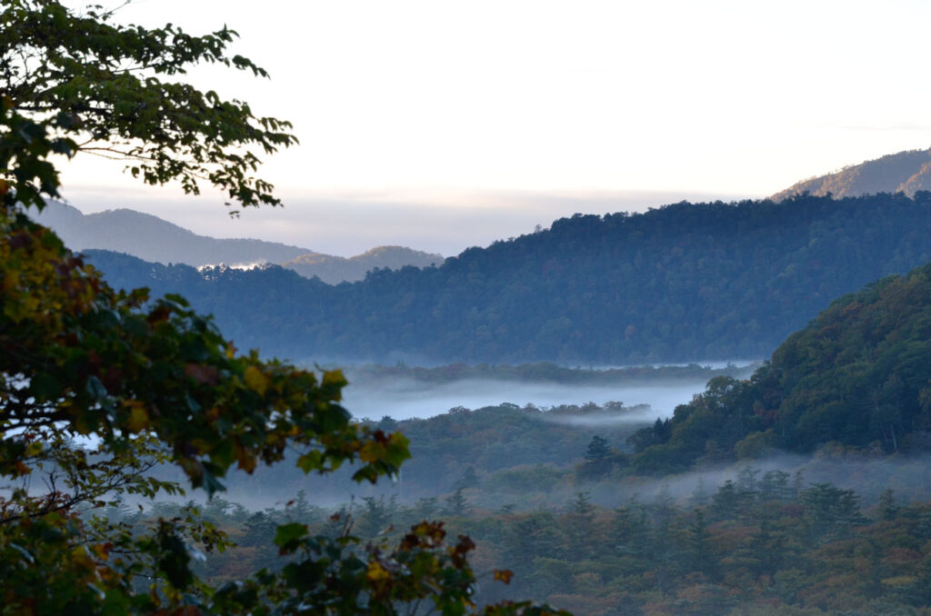 【風景写真】朝靄の美しさ！