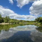【スナップ撮影】秋へ向かって季節は動く!?