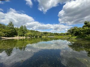 【スナップ撮影】秋へ向かって季節は動く!?