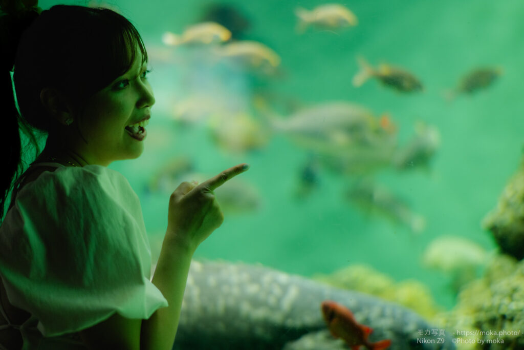 【ポートレート撮影】水族館で写真を撮ろう！！