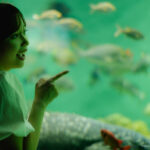 【ポートレート撮影】水族館で写真を撮ろう!!