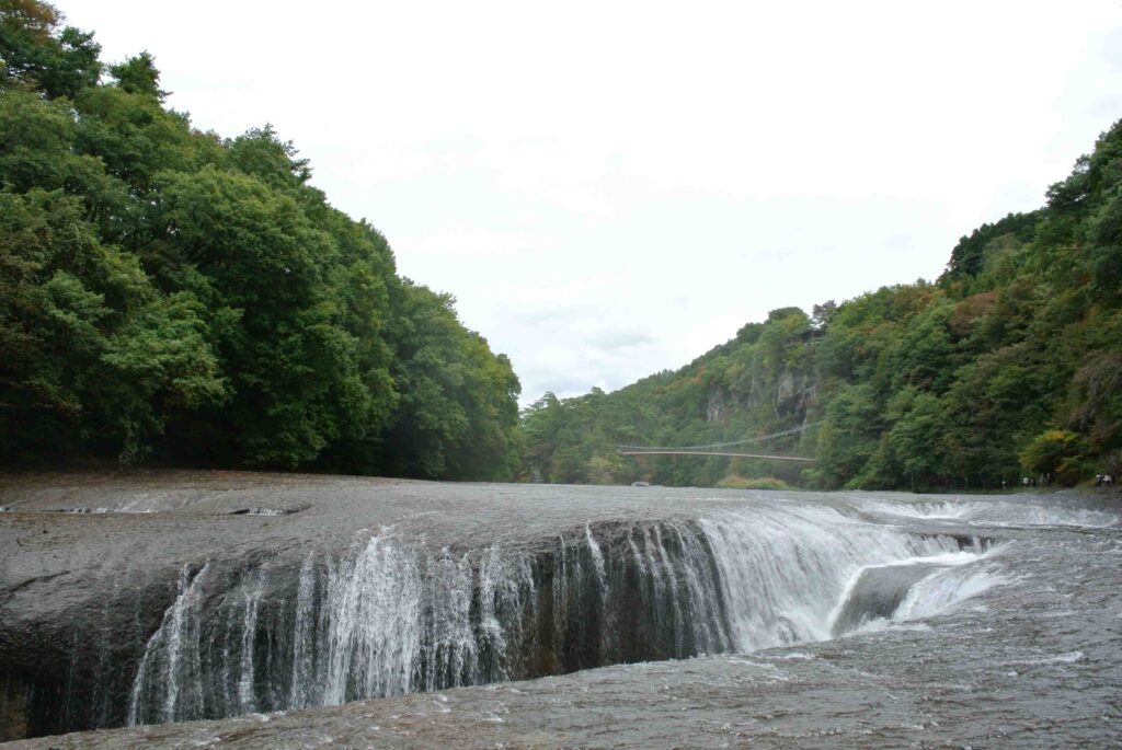【風景写真】紅葉になるまでの季節
