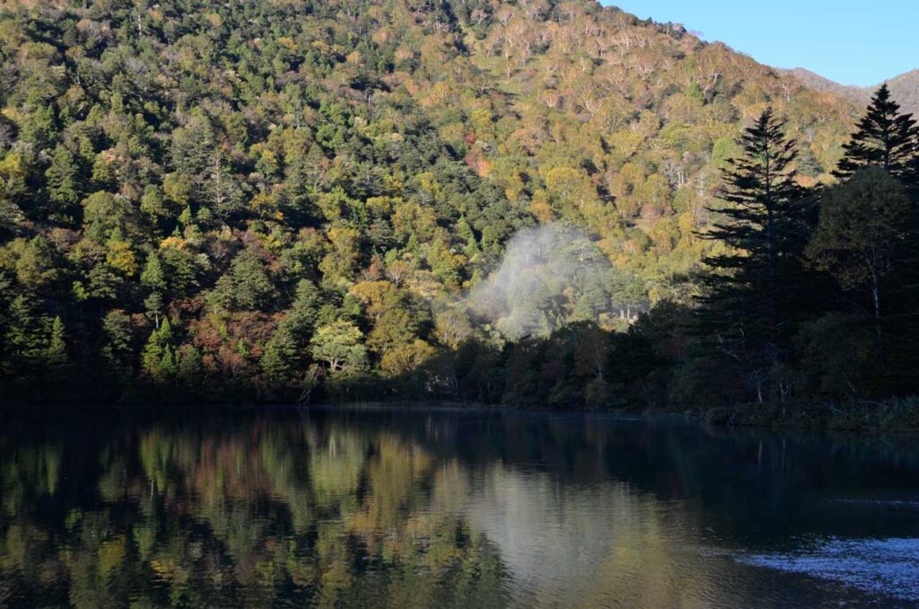 【風景写真】目の前に広がる紅葉と雲！？