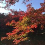 【風景写真】紅葉を楽しもう!!