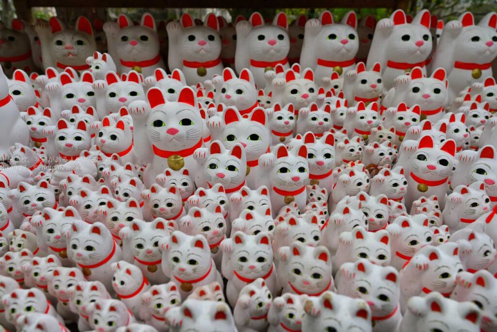 【スナップ撮影】願いが叶いますように・・