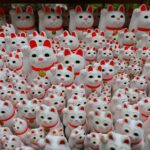 【スナップ撮影】願いが叶いますように・・