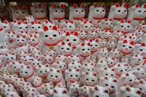 【スナップ撮影】願いが叶いますように・・