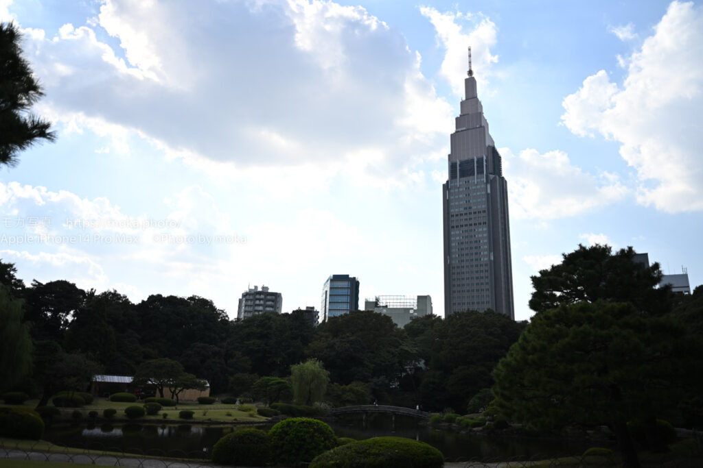 【スナップ撮影】秋の新宿をブラリお散歩