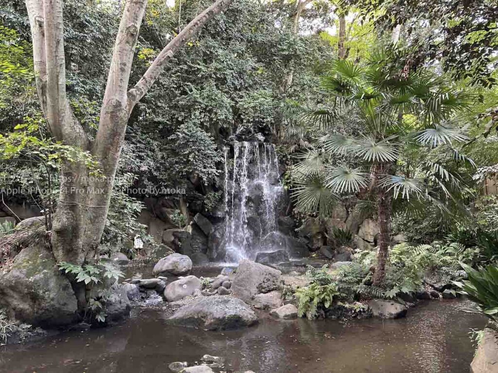 【ロケハン】都内で滝と一緒に写真が撮れる場所！？