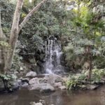 【ロケハン】都内で滝と一緒に写真が撮れる場所!?