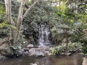 【ロケハン】都内で滝と一緒に写真が撮れる場所!?