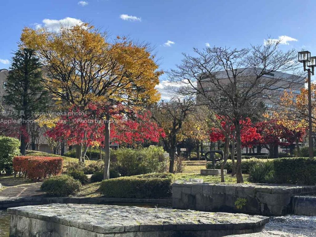 【スナップ撮影】青森弾丸ツアー！！