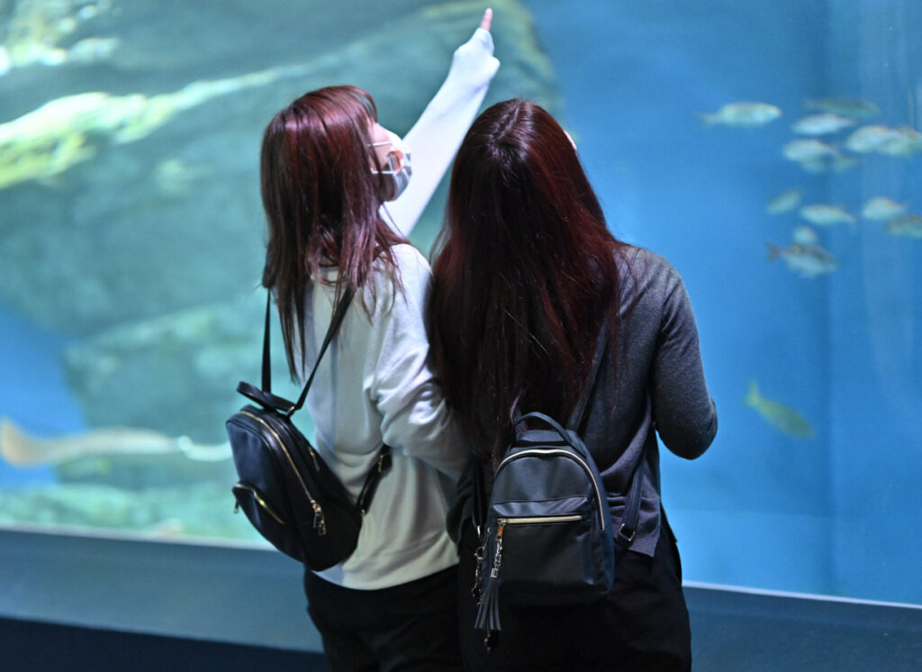 【スナップ撮影】仕事終わりに水族館へ！