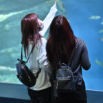 【スナップ撮影】仕事終わりに水族館へ!