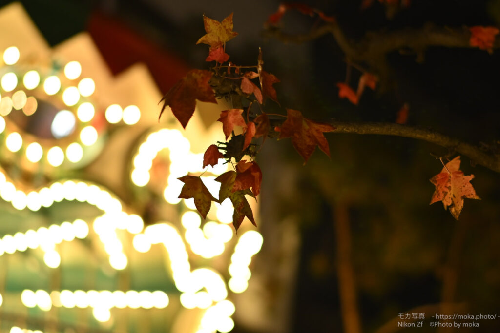 【スナップ撮影】冬はイルミネーション撮影が楽しい！