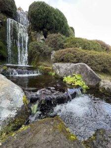 【スナップ撮影】意外と迫力がある庭園の滝