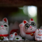 【スナップ撮影】幸よ・・・来い！！