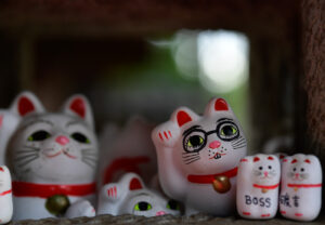 【スナップ撮影】幸よ・・・来い!!