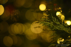 【スナップ撮影】仕事終わりにナイトスナップ撮影