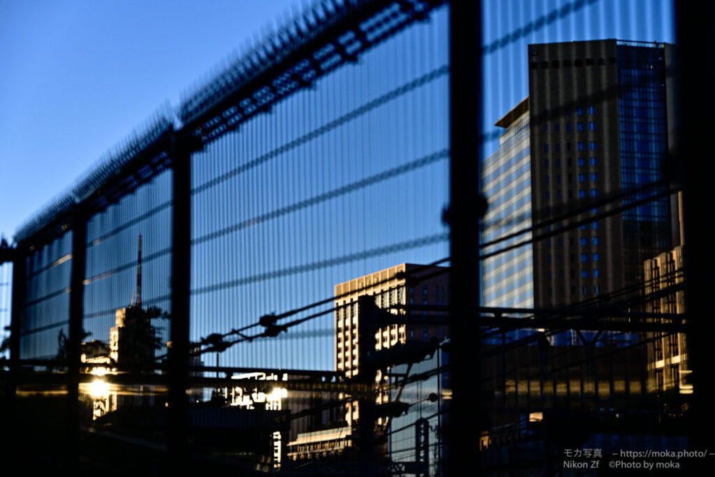 【スナップ撮影】夕暮れ時は、光が楽しい♪