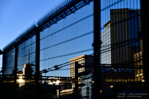 【スナップ撮影】夕暮れ時は、光が楽しい♪