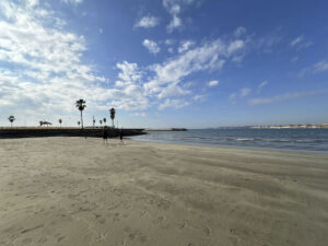 【スナップ撮影】冬のビーチを散歩