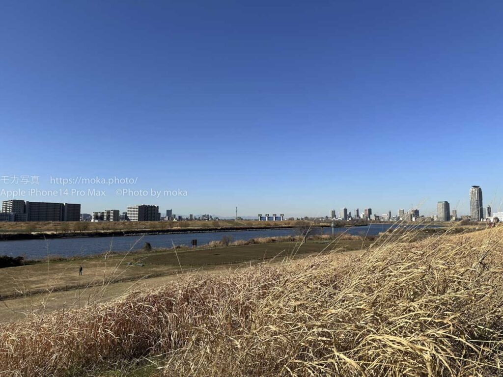 【スナップ撮影】荒川の冬景色・・