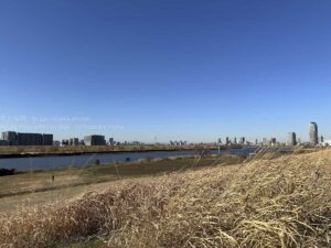 【スナップ撮影】荒川の冬景色・・
