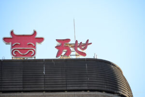 【スナップ撮影】花より団子、川より万世