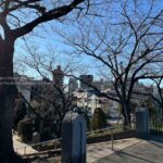 【スナップ撮影】散歩中に冬っぽい風景を・・・
