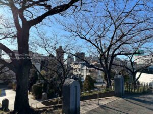 【スナップ撮影】散歩中に冬っぽい風景を・・・